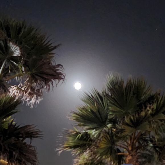 Sweet Dreams! - Picture 1 of 4